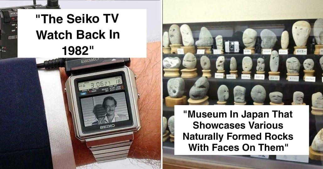 20 Amazing Things People Found and Shared Online