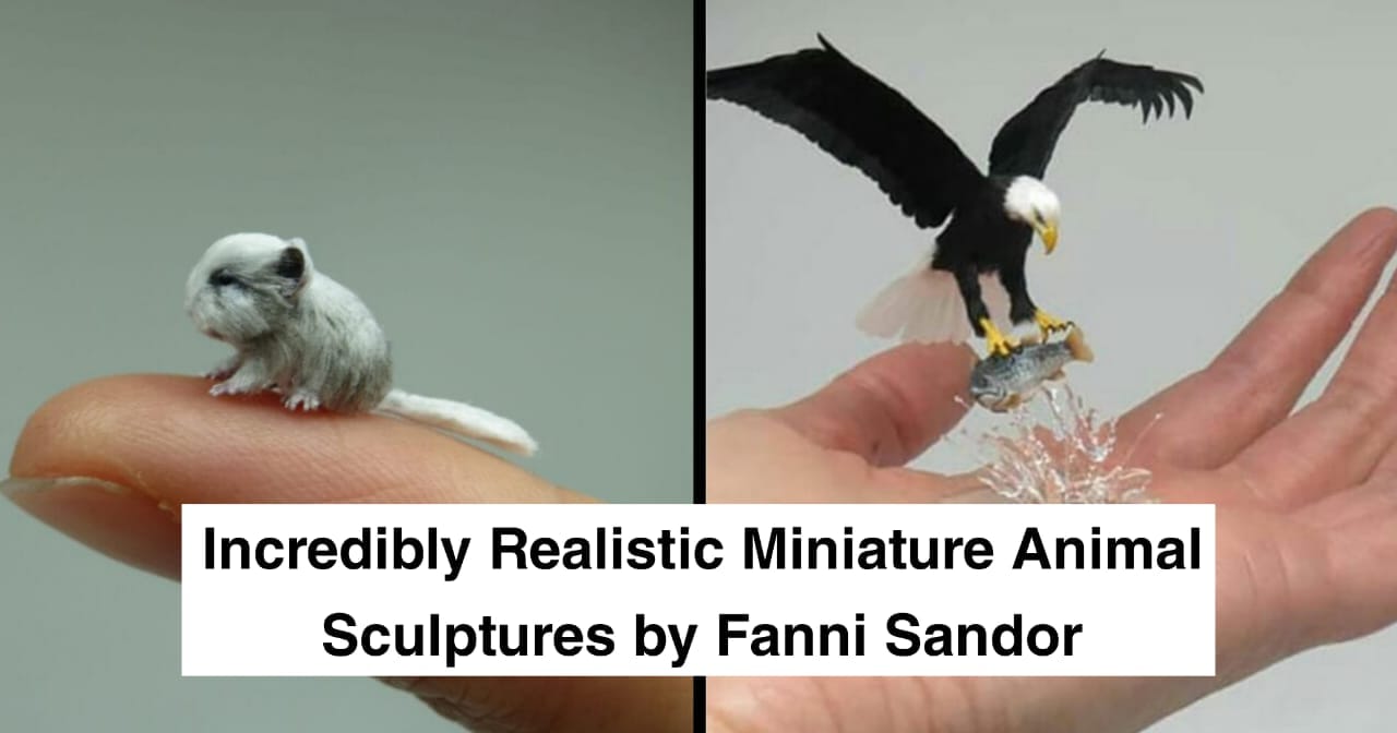 15 Incredibly Realistic Miniature Animal Sculptures by Fanni Sandor